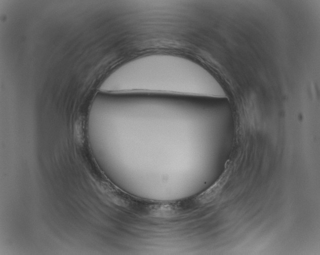 X0000069390074200605120954