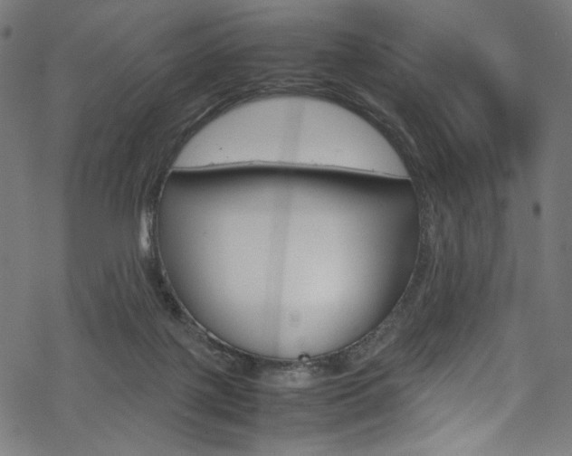 X0000069390075200605120954