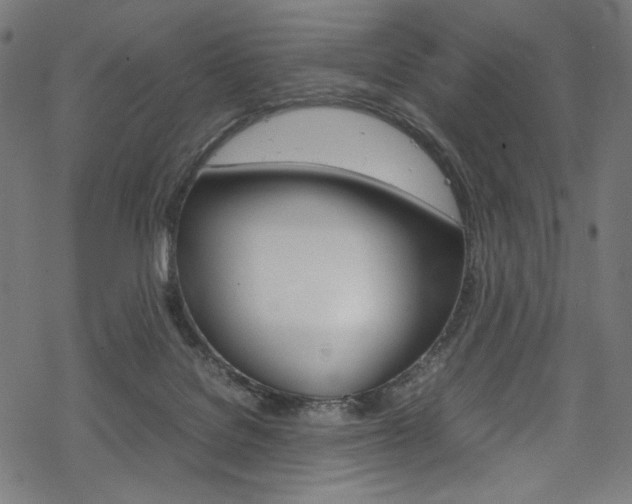 X0000069390076200605120954