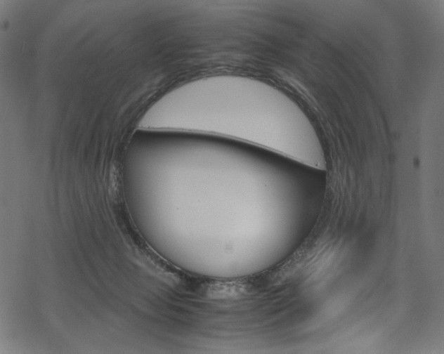 X0000069390077200605120954