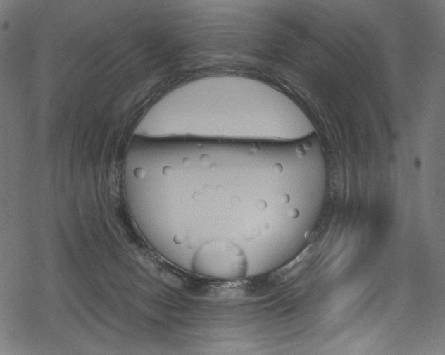 X0000069390078200605120954