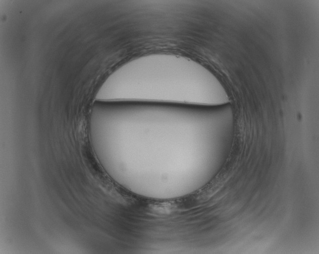 X0000069390079200605120954