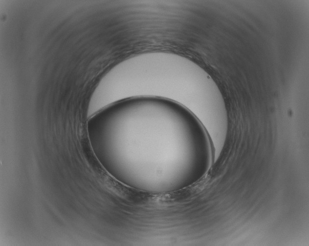 X0000069390080200605120954