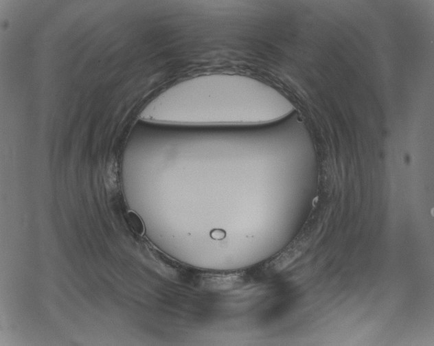 X0000069390081200605120954