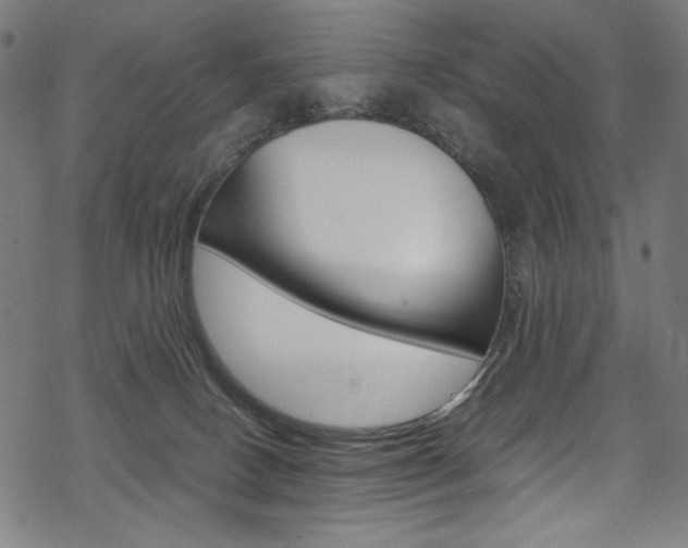 X0000069390082200605120954