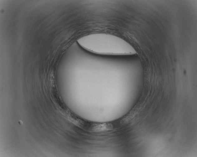 X0000069390083200605120954