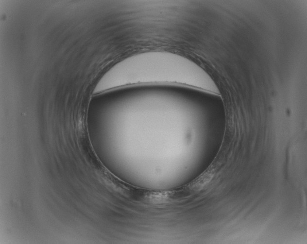 X0000069390084200605120954