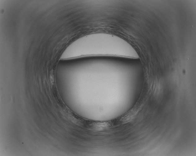 X0000069390085200605120954