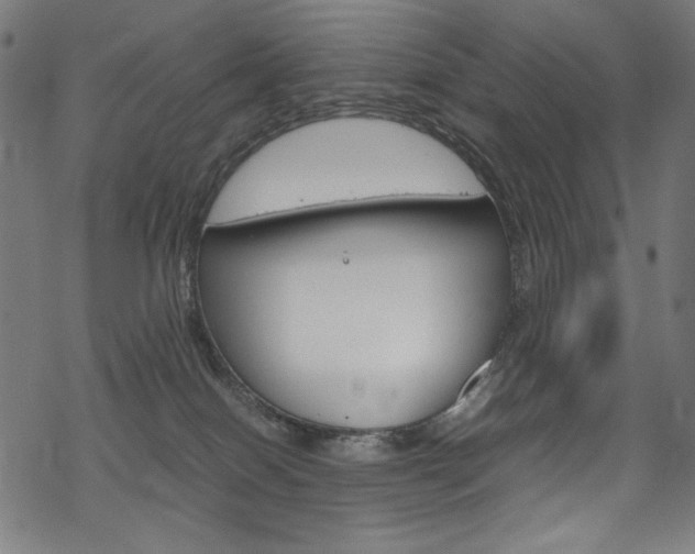 X0000069390086200605120954