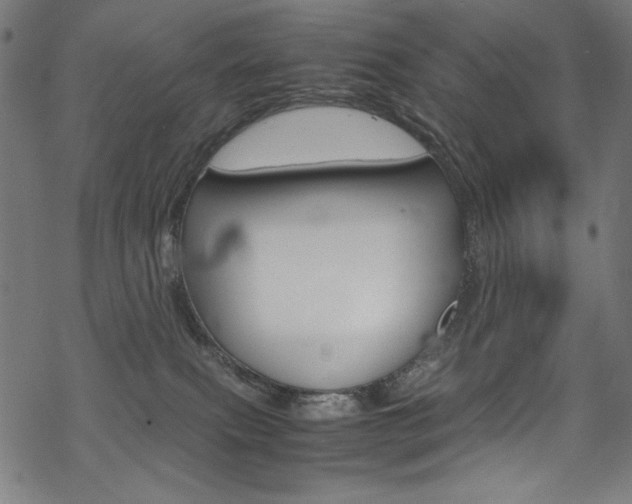 X0000069390087200605120954