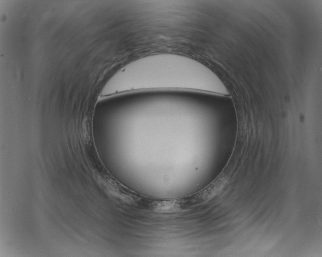 X0000069390088200605120954