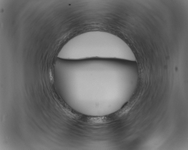 X0000069390089200605120954