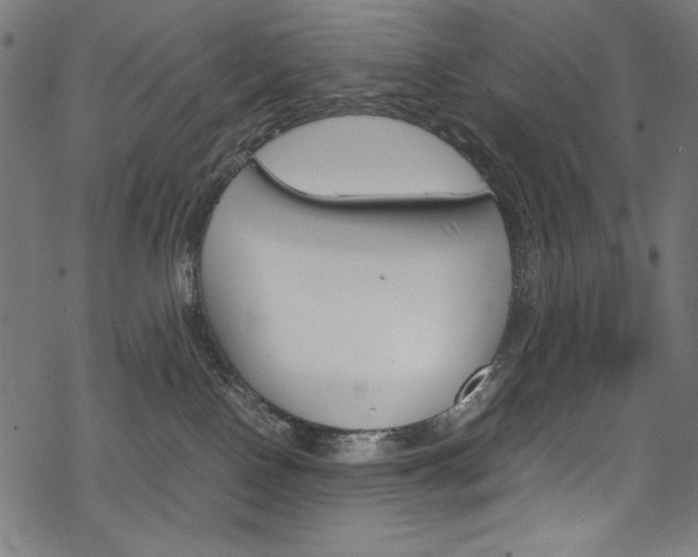 X0000069390090200605120954