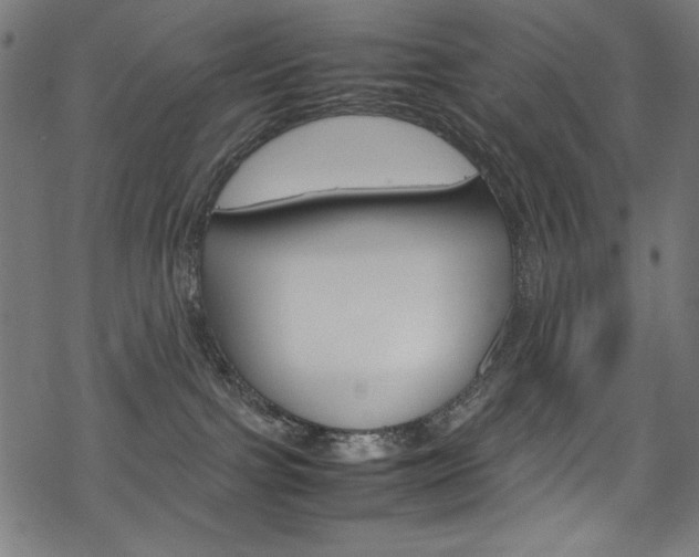 X0000069390091200605120954