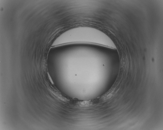 X0000069390092200605120954