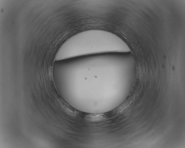 X0000069390093200605120954