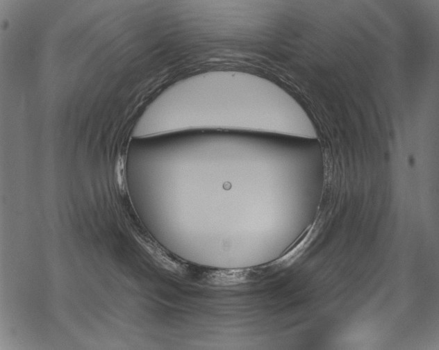 X0000069390094200605120954