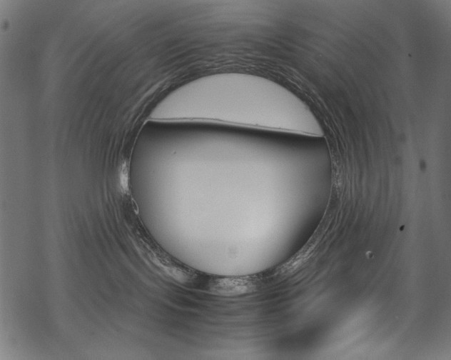 X0000069390095200605120955