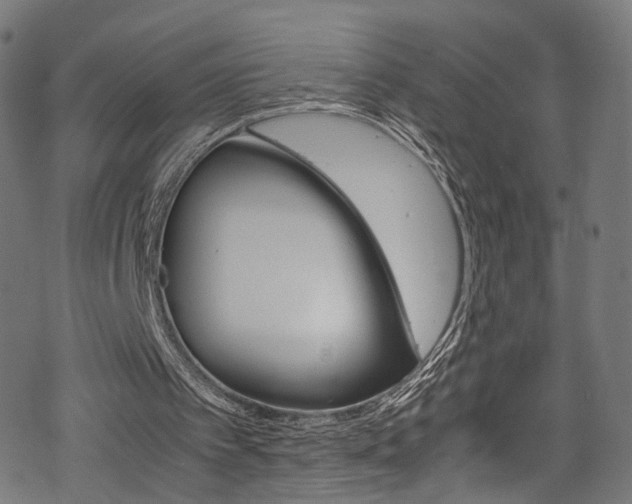 X0000069390097200605120954