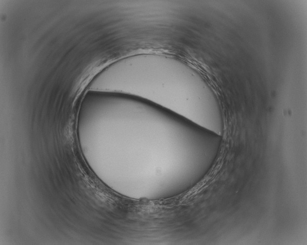 X0000069390098200605120954