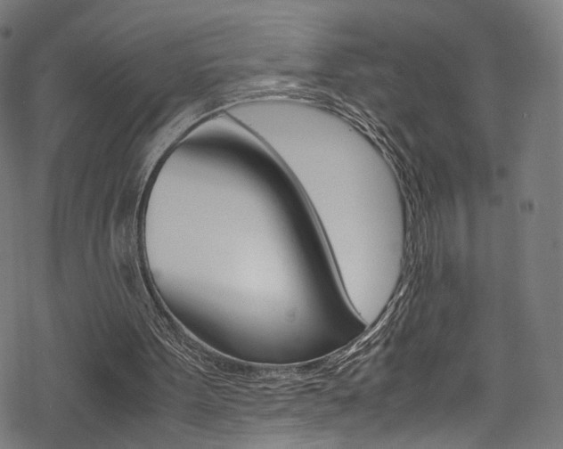 X0000069390099200605120954