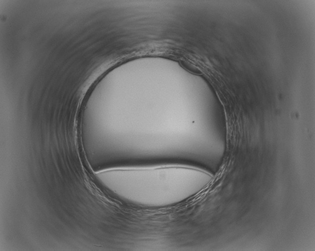 X0000069390100200605120954