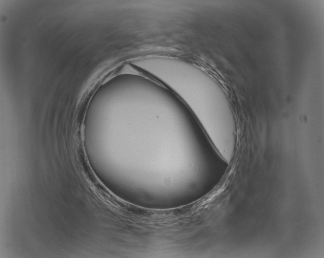 X0000069390101200605120954