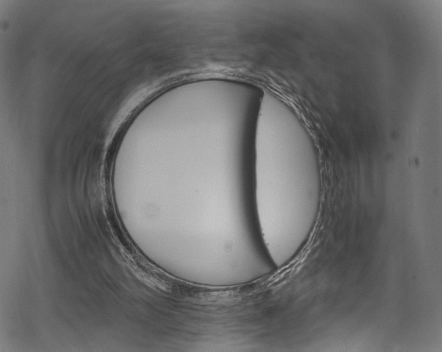 X0000069390102200605120954