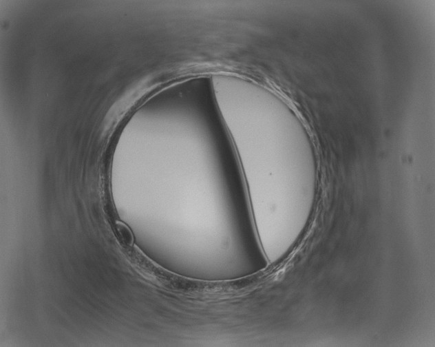 X0000069390103200605120954