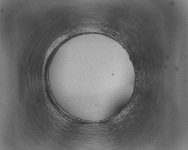 X0000069390104200605120954