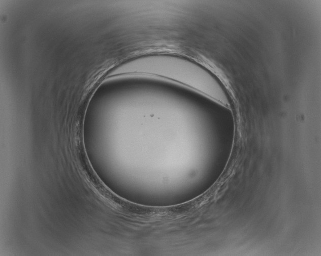 X0000069390105200605120954