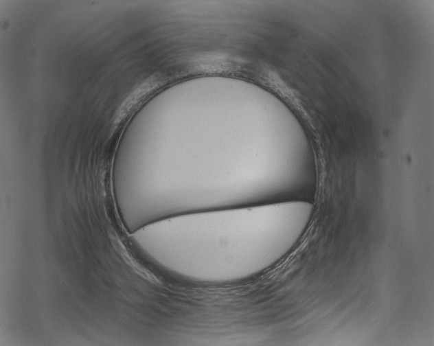 X0000069390106200605120954