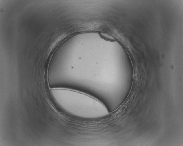 X0000069390107200605120954