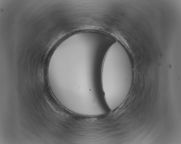 X0000069390108200605120954