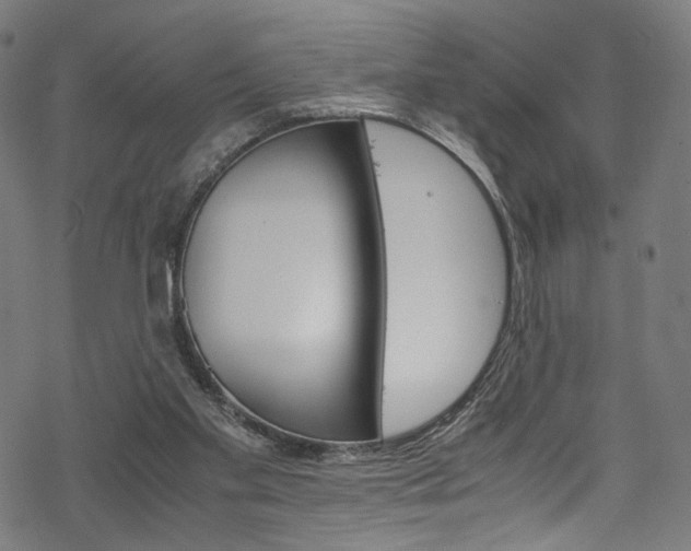 X0000069390109200605120954