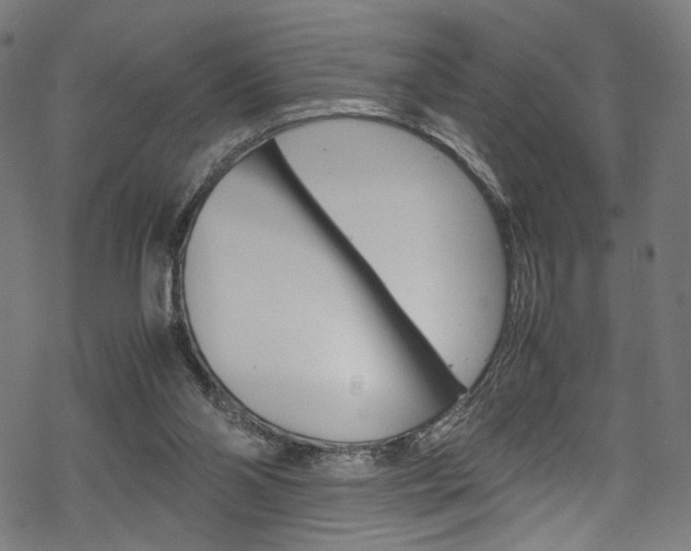 X0000069390110200605120954