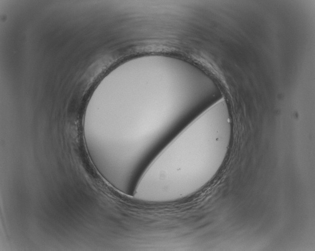 X0000069390111200605120954