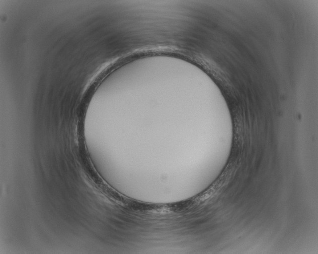 X0000069390112200605120954