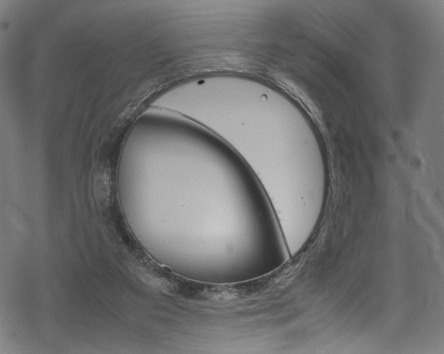 X0000069390113200605120953