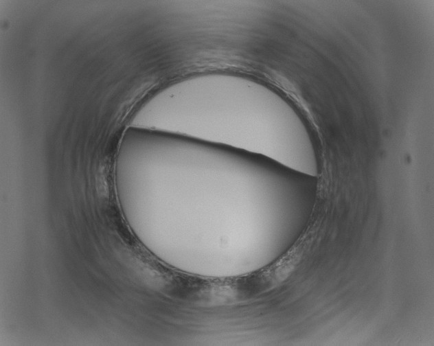 X0000069390114200605120953