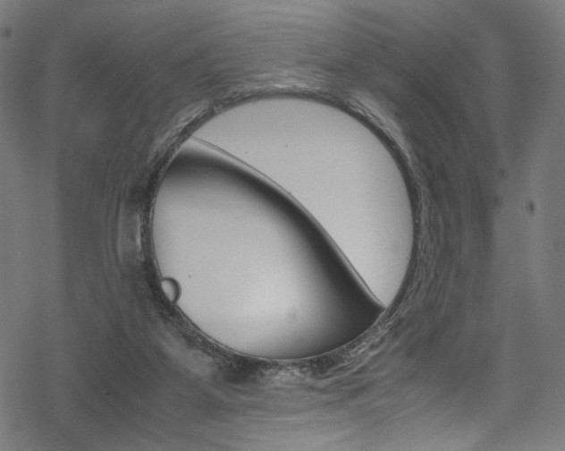 X0000069390115200605120953