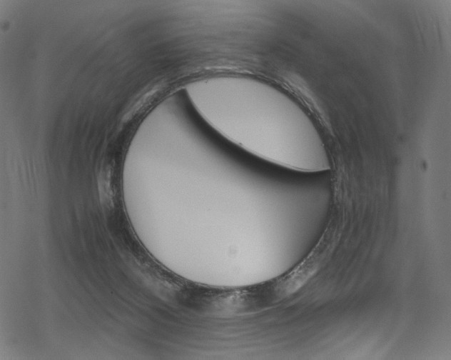 X0000069390116200605120953