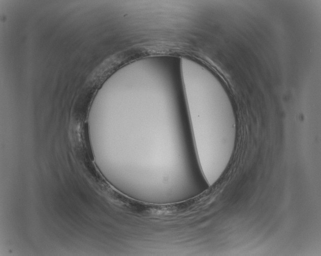 X0000069390117200605120953