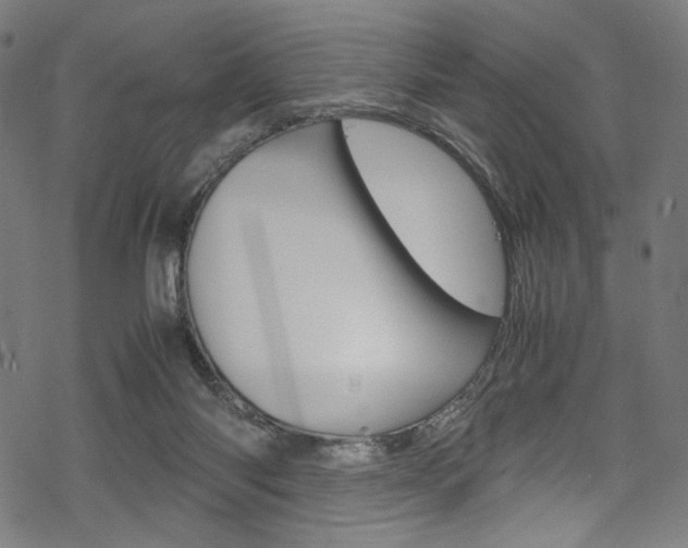 X0000069390118200605120953