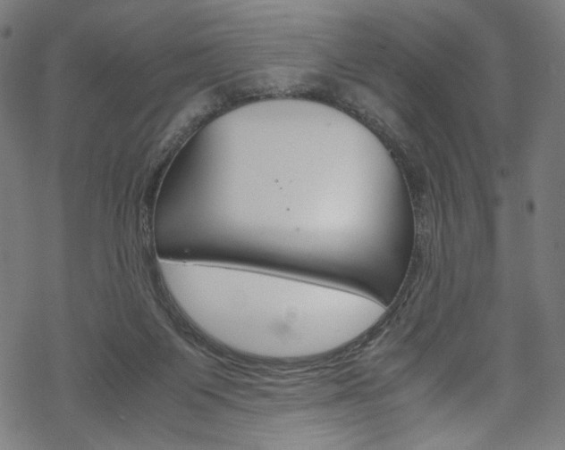 X0000069390119200605120953