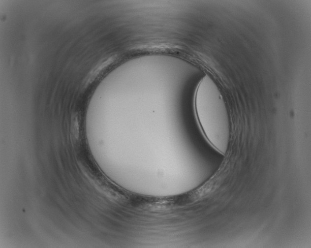 X0000069390120200605120953