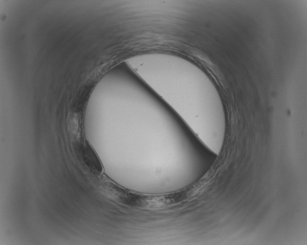 X0000069390121200605120953