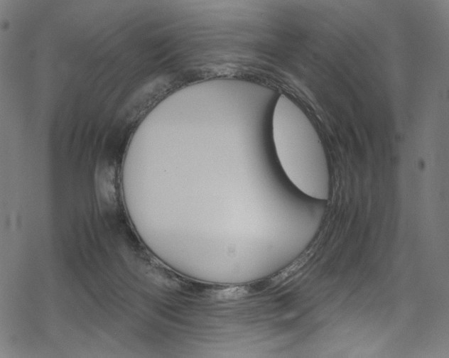 X0000069390122200605120953