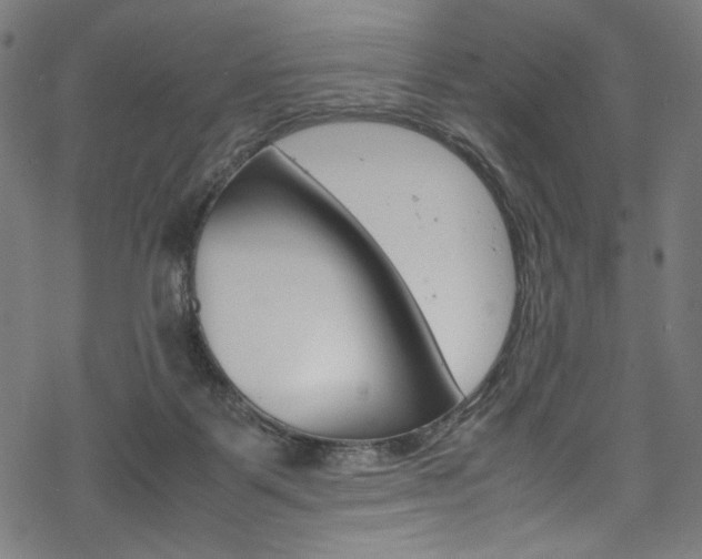 X0000069390123200605120953