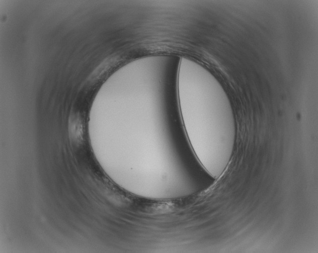 X0000069390124200605120953